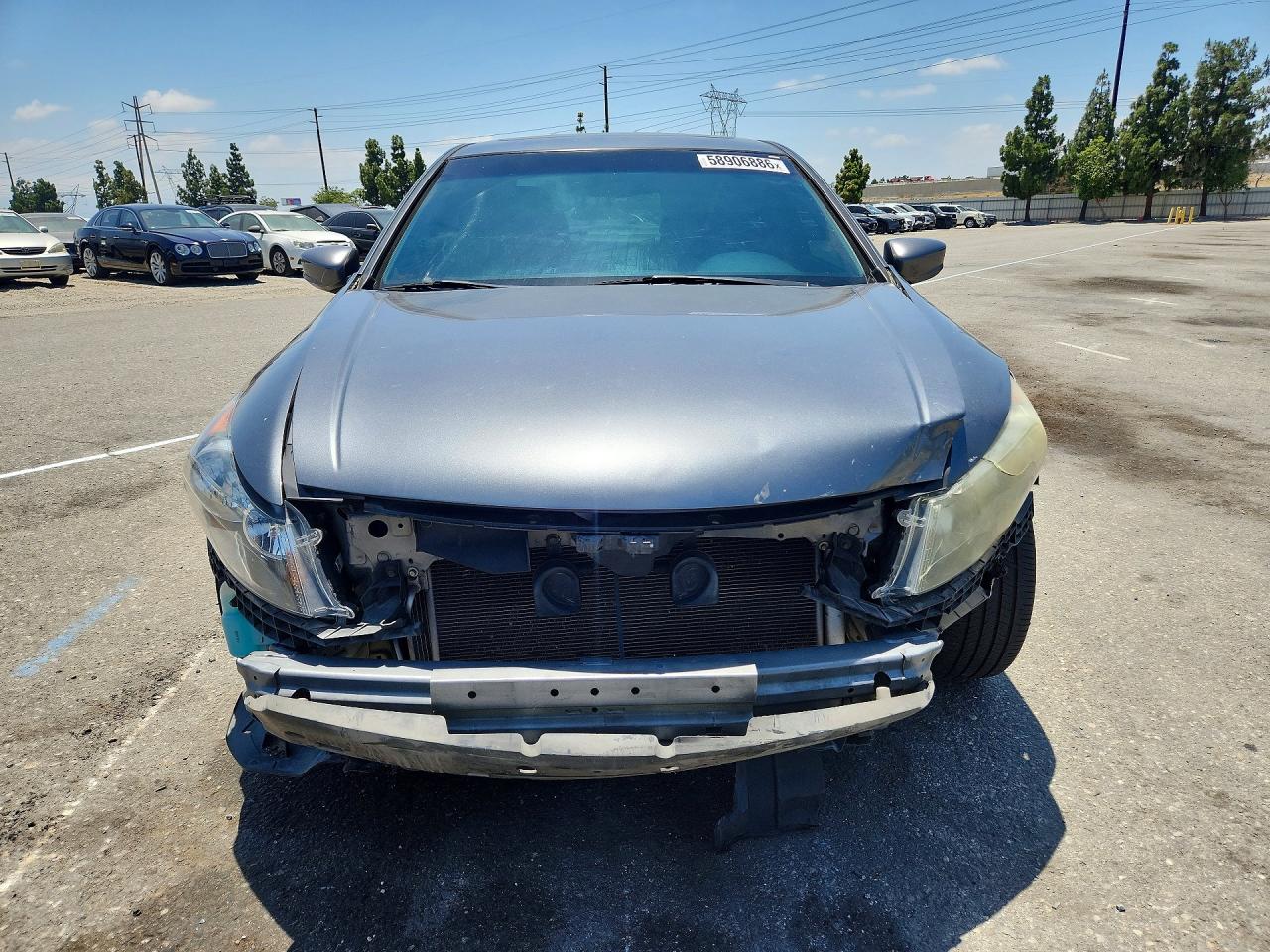 2011 Honda Accord Exl Charcoal vin: 1HGCP2F80BA015579