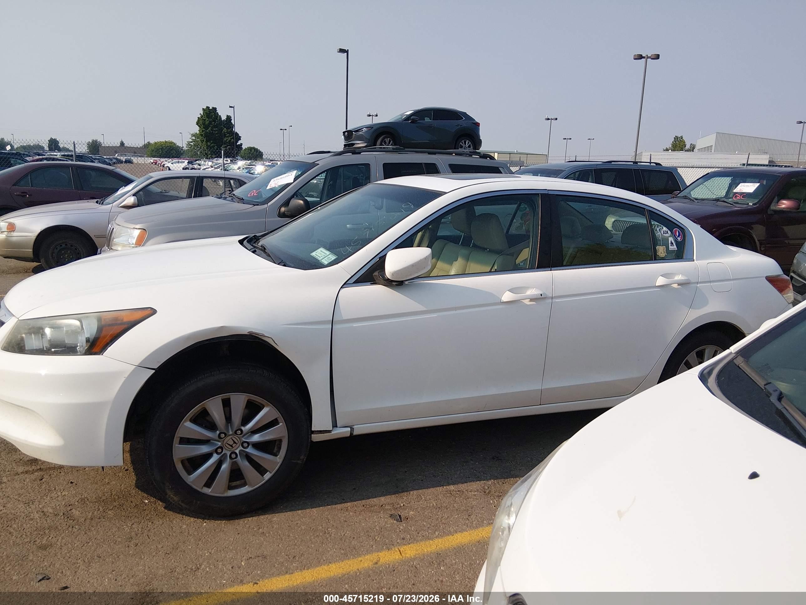 2011 Honda Accord 2.4 Ex-l White vin: 1HGCP2F80BA030244