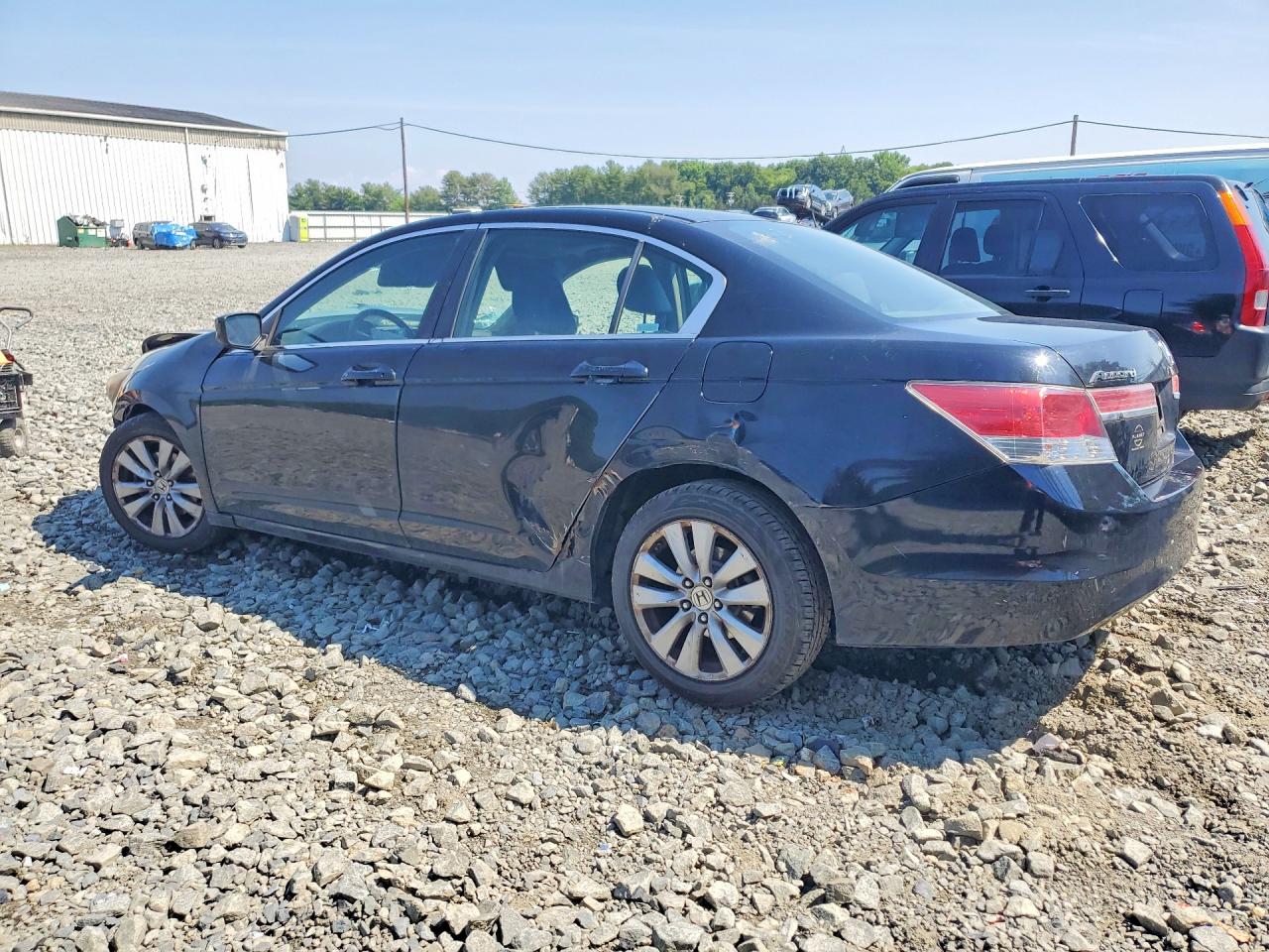 2011 Honda Accord Exl Black vin: 1HGCP2F80BA053684