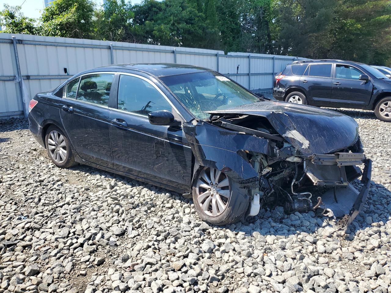 2011 Honda Accord Exl Black vin: 1HGCP2F80BA053684