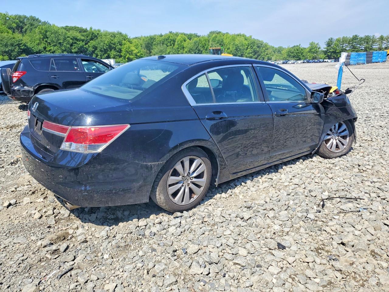 2011 Honda Accord Exl Black vin: 1HGCP2F80BA053684