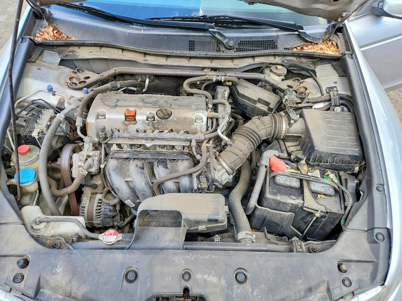 2011 Honda Accord Exl Silver vin: 1HGCP2F80BA072252