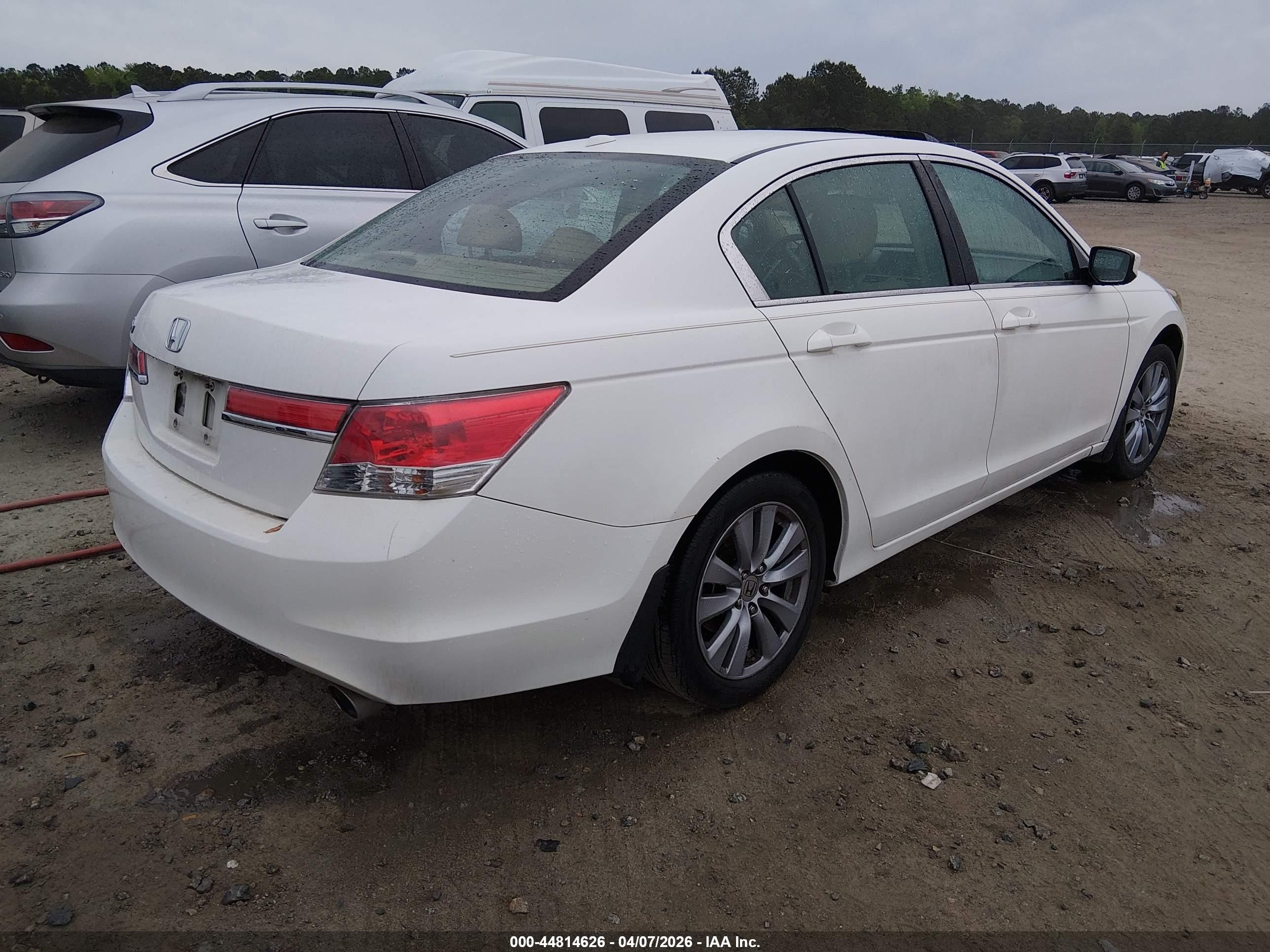 2011 Honda Accord 2.4 Ex-l White vin: 1HGCP2F80BA086748
