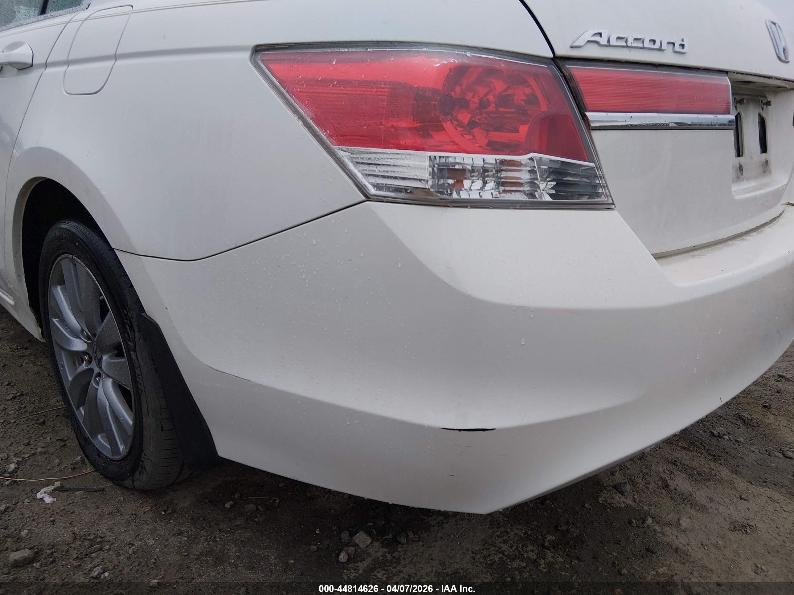2011 Honda Accord 2.4 Ex-l White vin: 1HGCP2F80BA086748