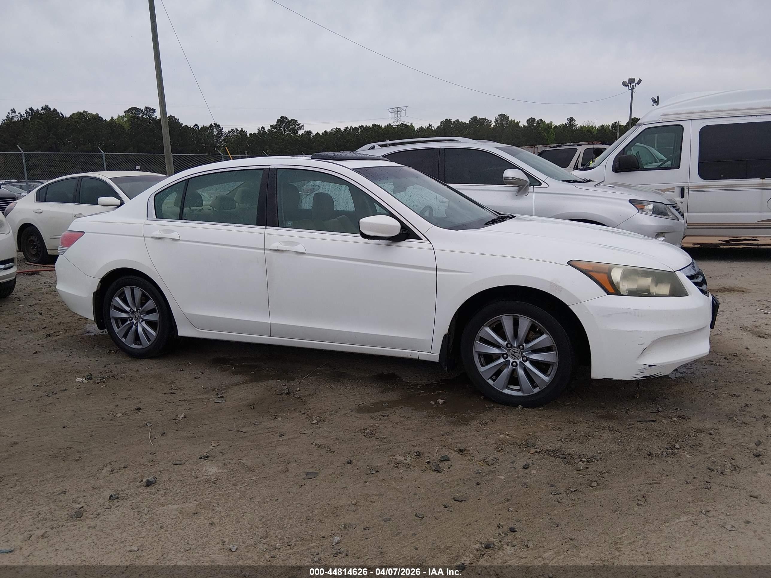 2011 Honda Accord 2.4 Ex-l White vin: 1HGCP2F80BA086748