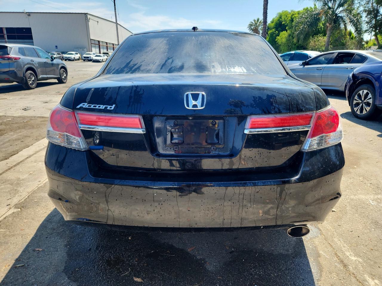 2011 Honda Accord Exl Black vin: 1HGCP2F80BA153025