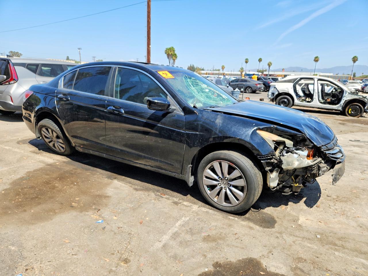 2011 Honda Accord Exl Black vin: 1HGCP2F80BA153025