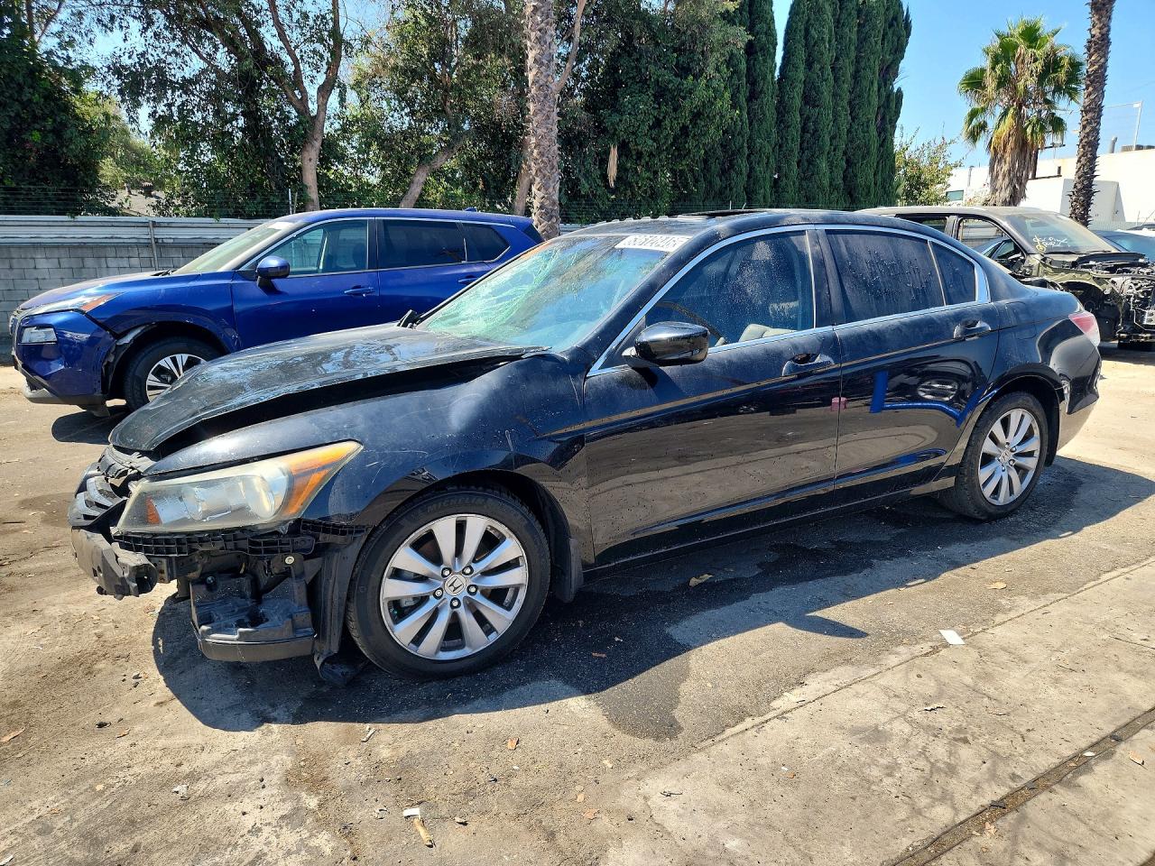 2011 Honda Accord Exl Black vin: 1HGCP2F80BA153025