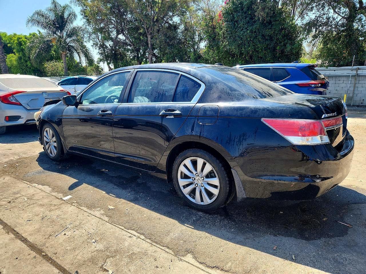 2011 Honda Accord Exl Black vin: 1HGCP2F80BA153025