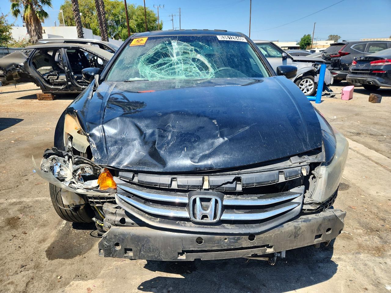 2011 Honda Accord Exl Black vin: 1HGCP2F80BA153025