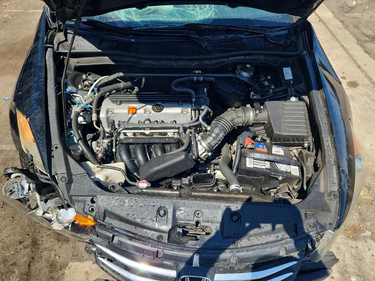 2011 Honda Accord Exl Black vin: 1HGCP2F80BA153025