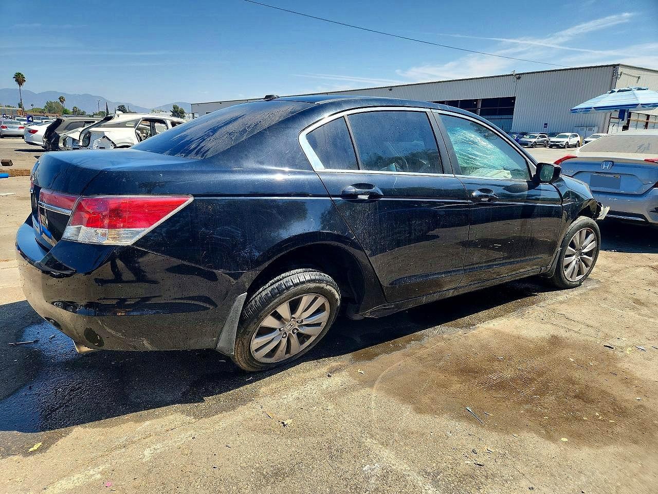 2011 Honda Accord Exl Black vin: 1HGCP2F80BA153025
