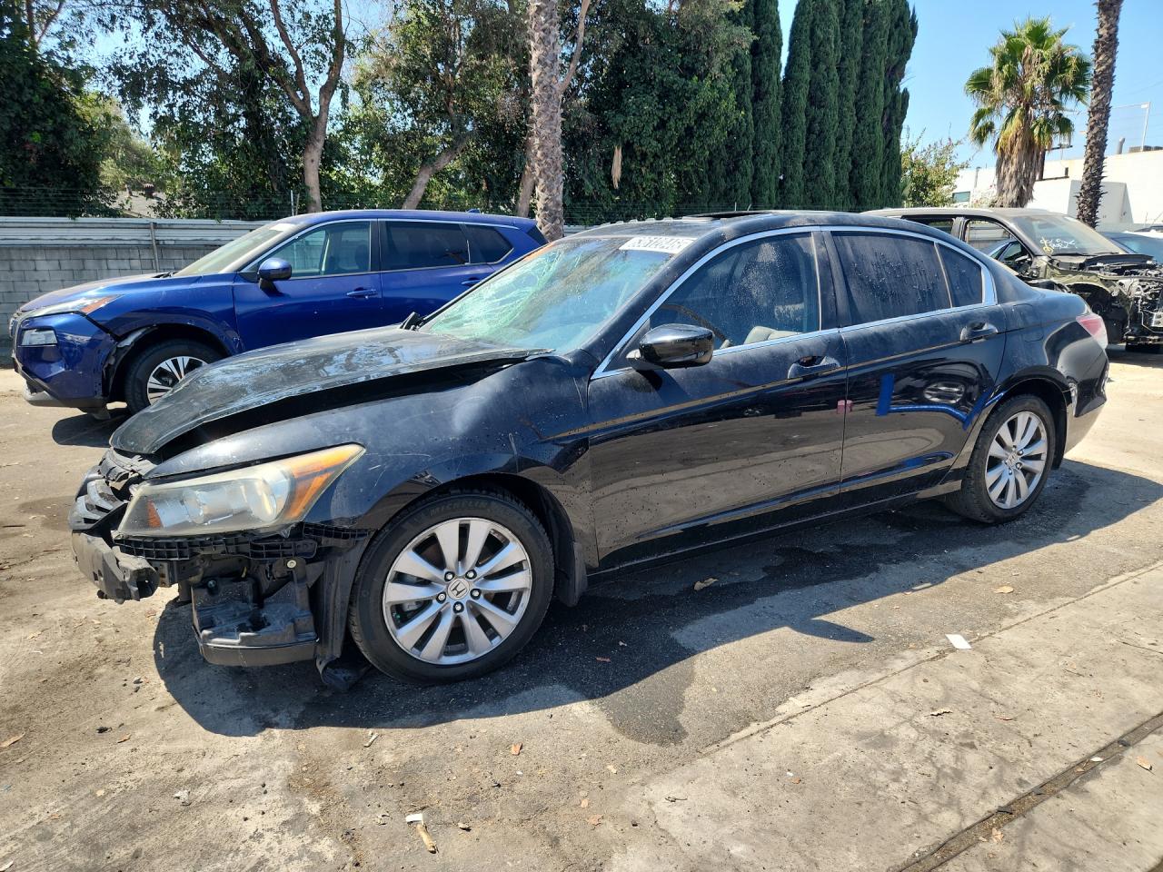 2011 Honda Accord Exl Black vin: 1HGCP2F80BA153025 Damage: Left Front Fender, Severe Damage, Replacement Required