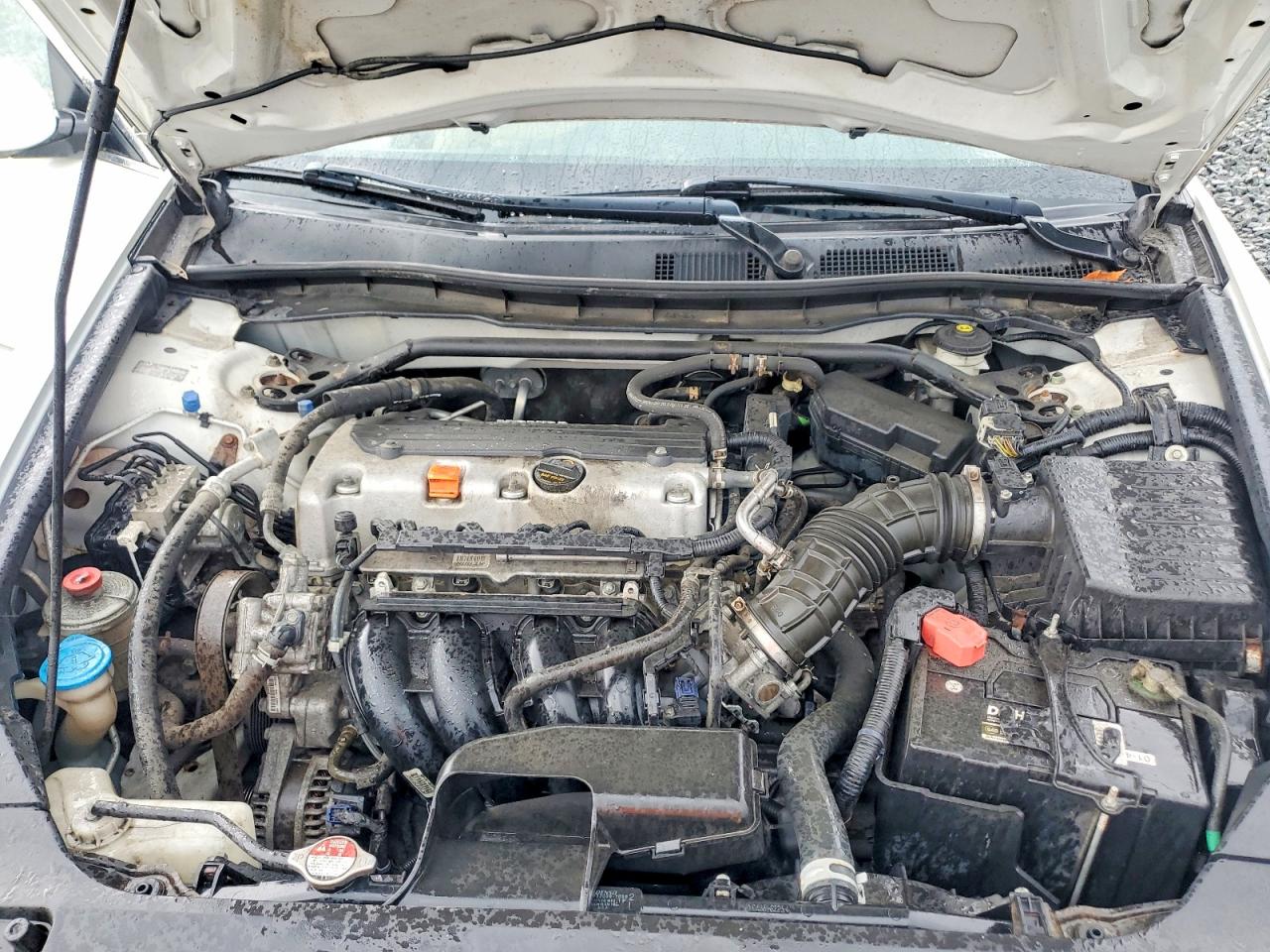 2012 Honda Accord Exl Белый vin: 1HGCP2F80CA077341