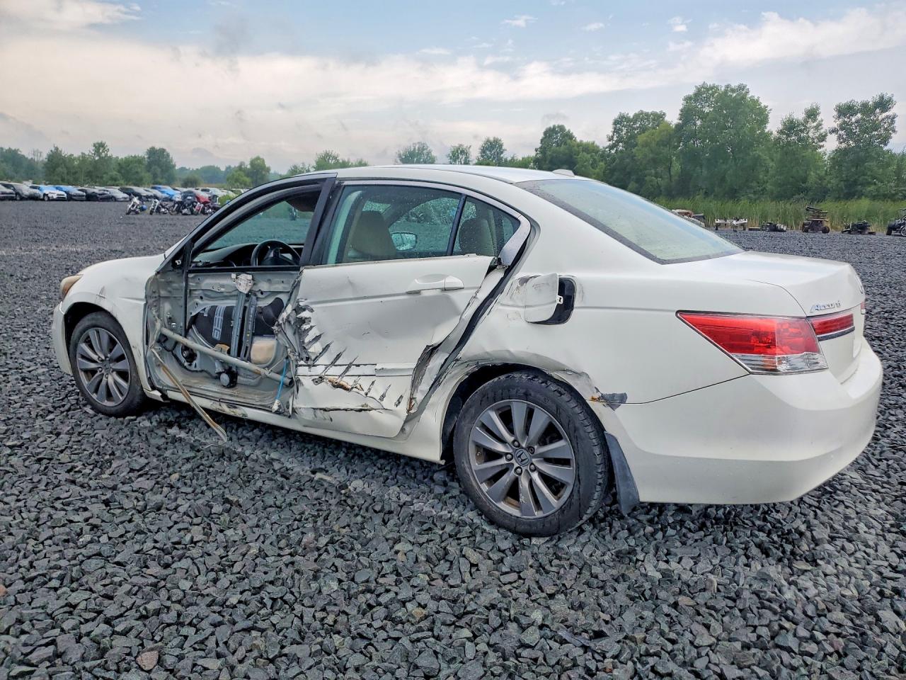 2012 Honda Accord Exl Белый vin: 1HGCP2F80CA077341