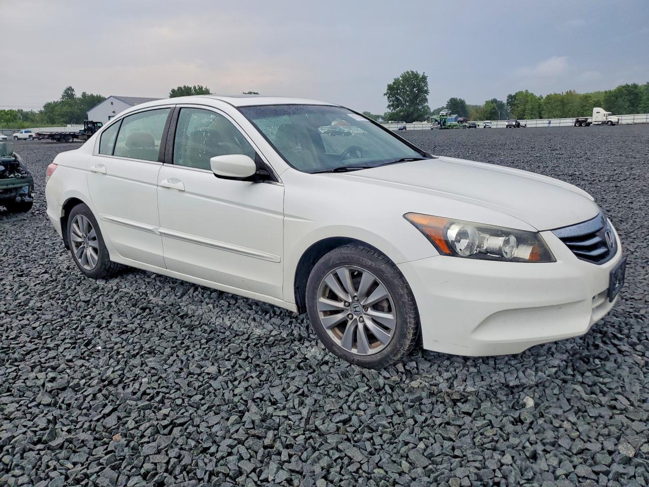 2012 Honda Accord Exl Белый vin: 1HGCP2F80CA077341