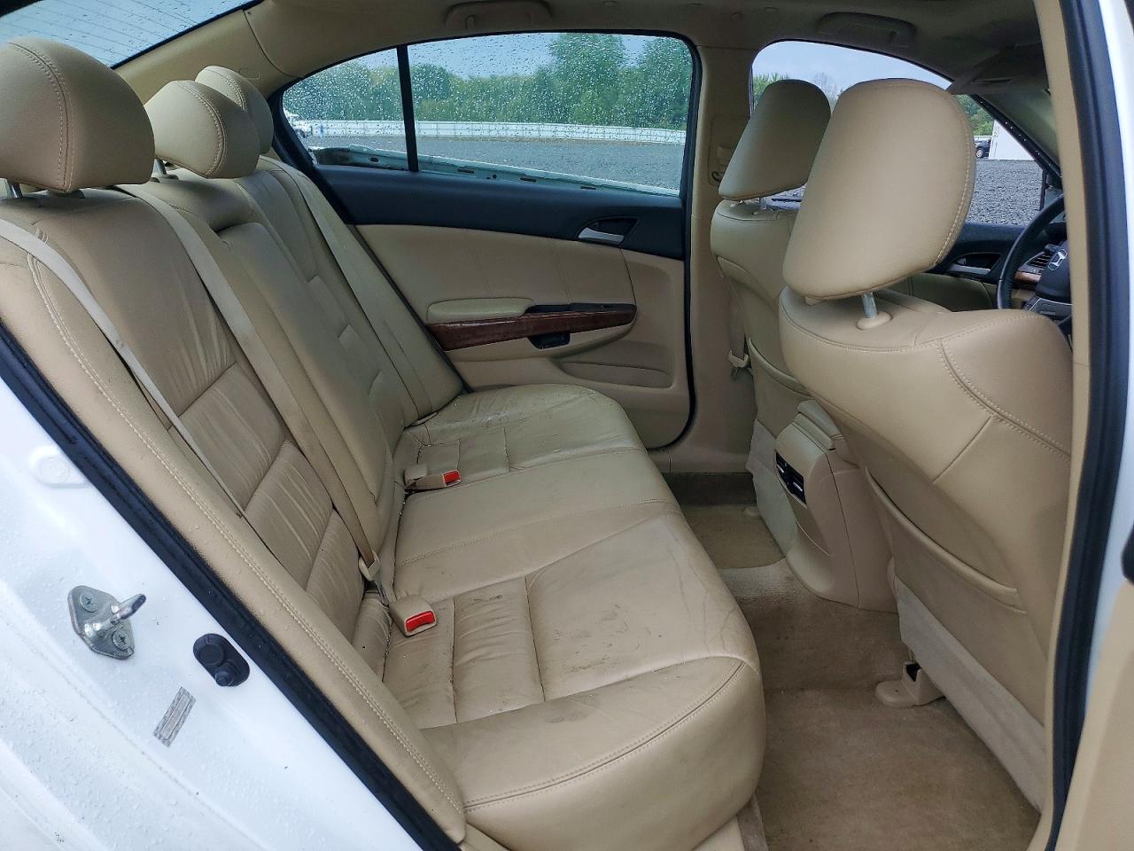 2012 Honda Accord Exl Белый vin: 1HGCP2F80CA077341