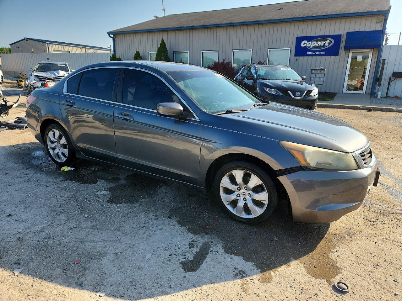 2010 Honda Accord Exl Gray vin: 1HGCP2F81AA077054