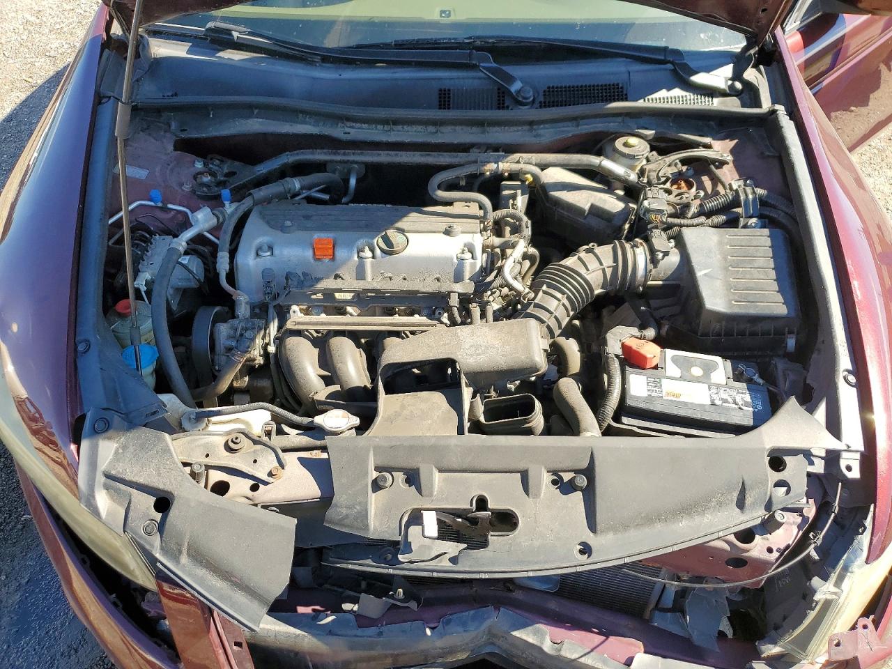 2010 Honda Accord Exl Burgundy vin: 1HGCP2F81AA094131