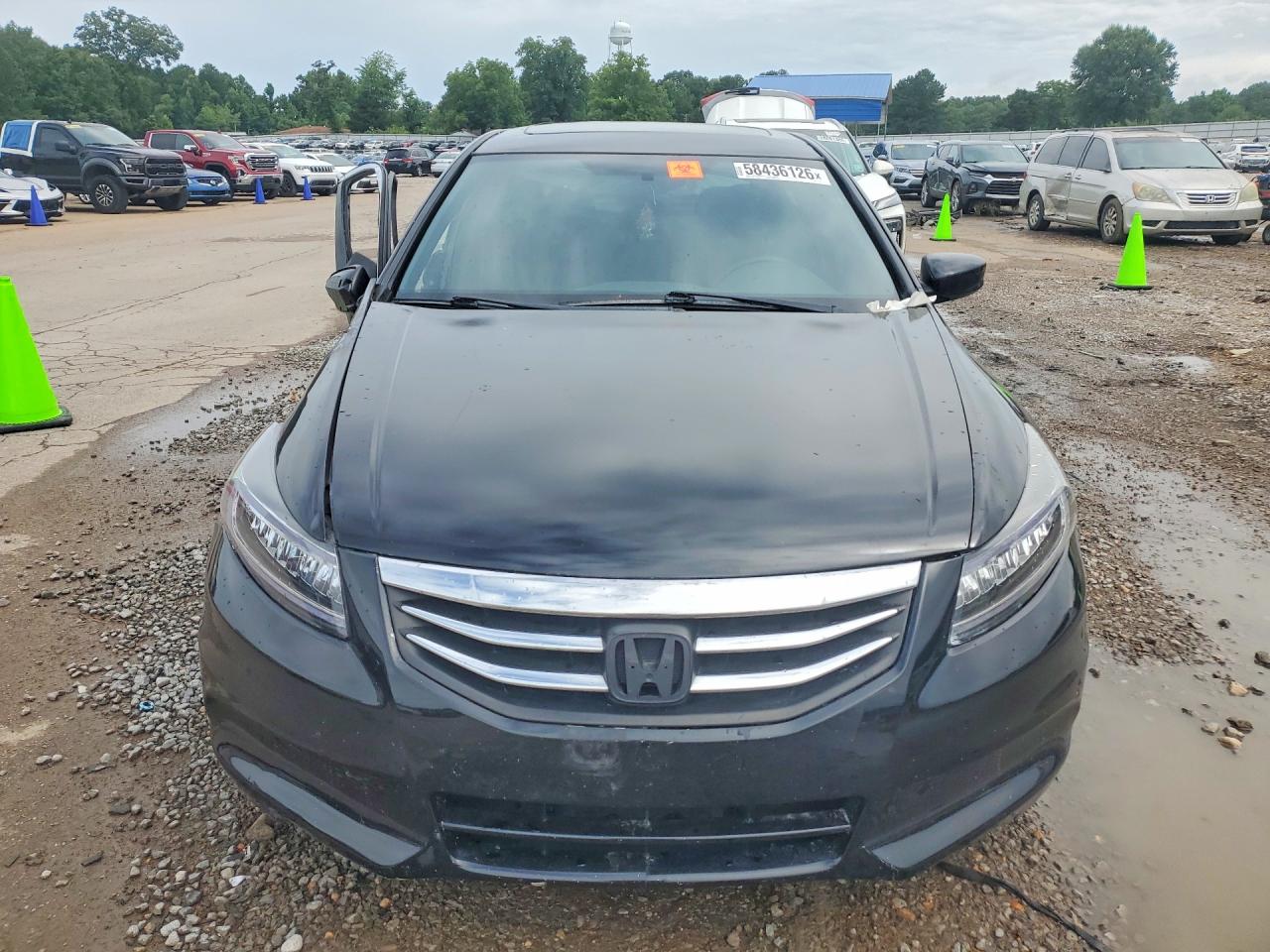 2010 Honda Accord Exl Black vin: 1HGCP2F81AA119240