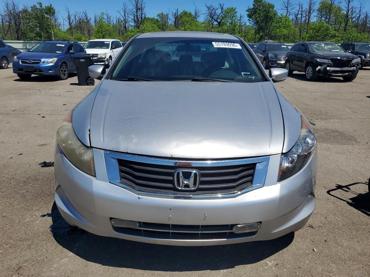2010 Honda Accord Exl Silver vin: 1HGCP2F81AA134028