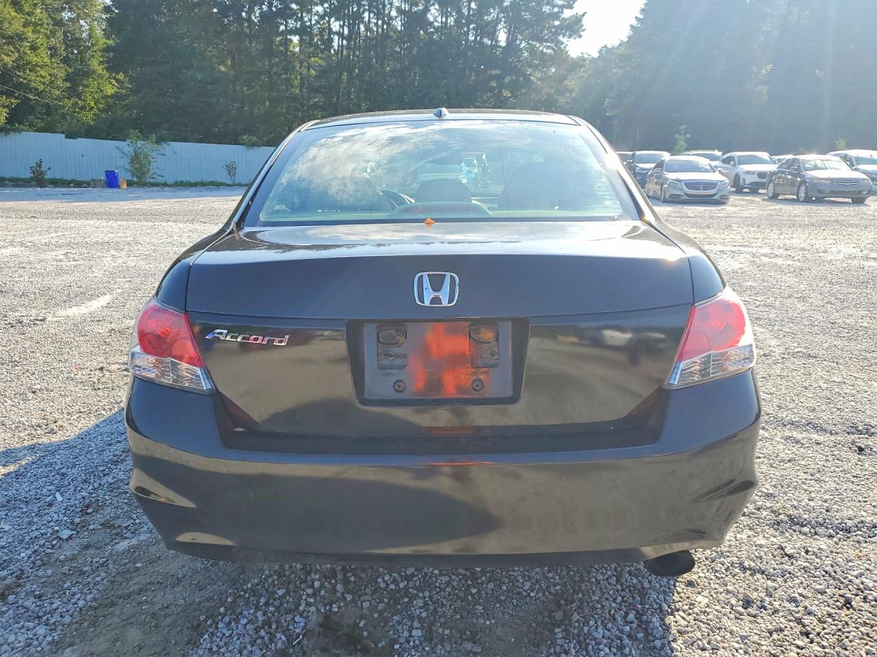 2010 Honda Accord Exl Black vin: 1HGCP2F81AA144641