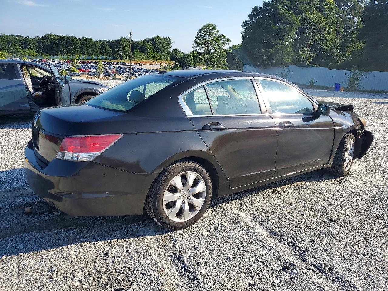 2010 Honda Accord Exl Black vin: 1HGCP2F81AA144641