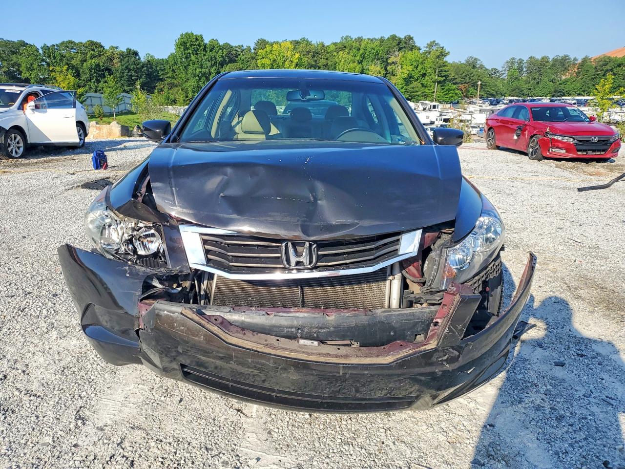 2010 Honda Accord Exl Black vin: 1HGCP2F81AA144641