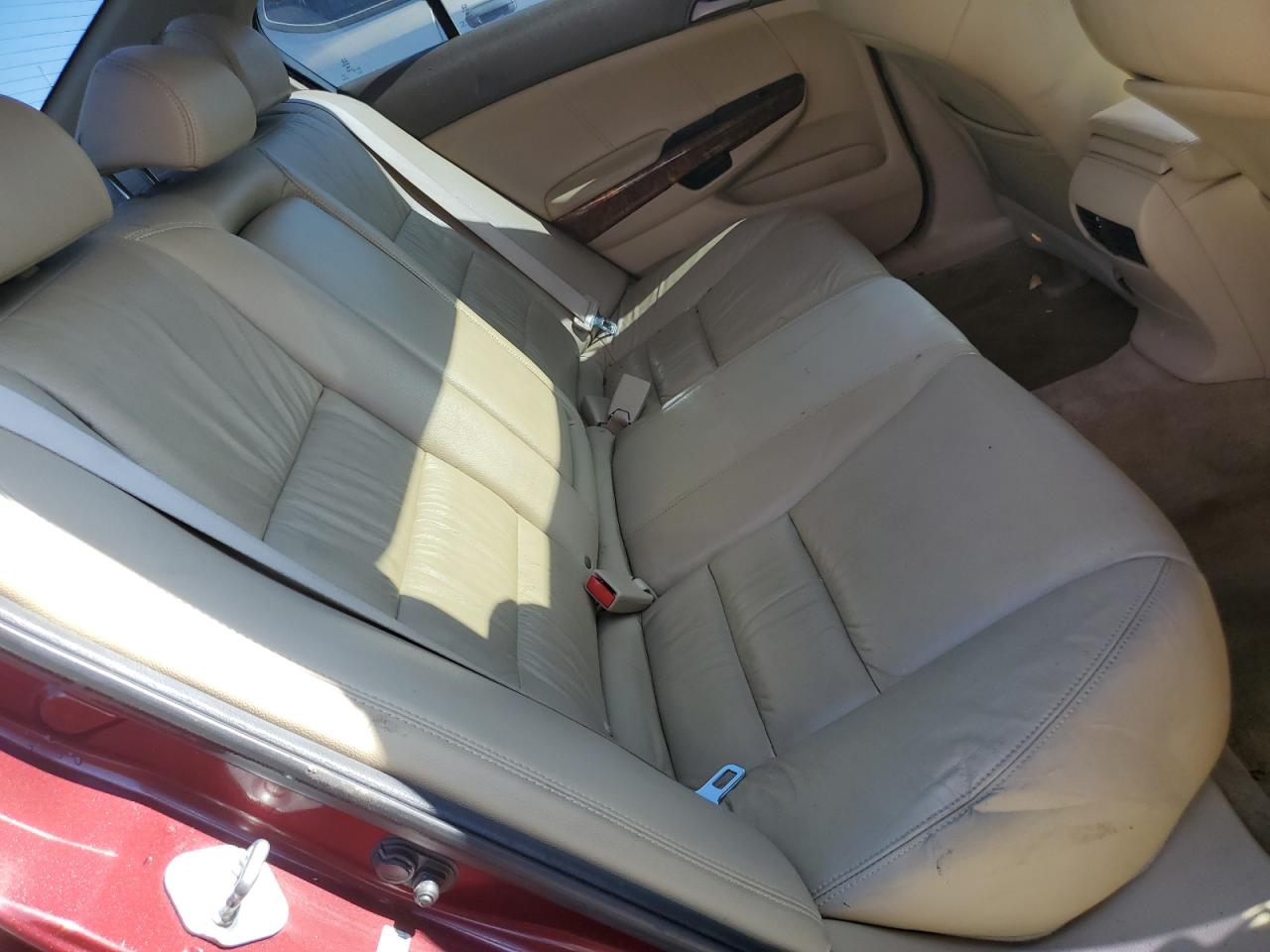 2010 Honda Accord Exl Maroon vin: 1HGCP2F81AA159446