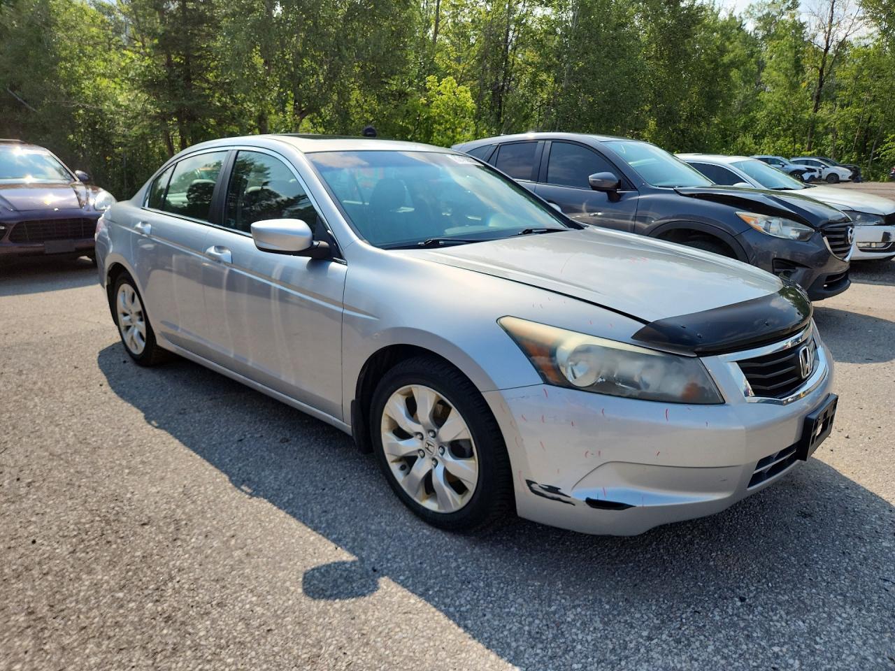 2010 Honda Accord Exl Silver vin: 1HGCP2F81AA802409