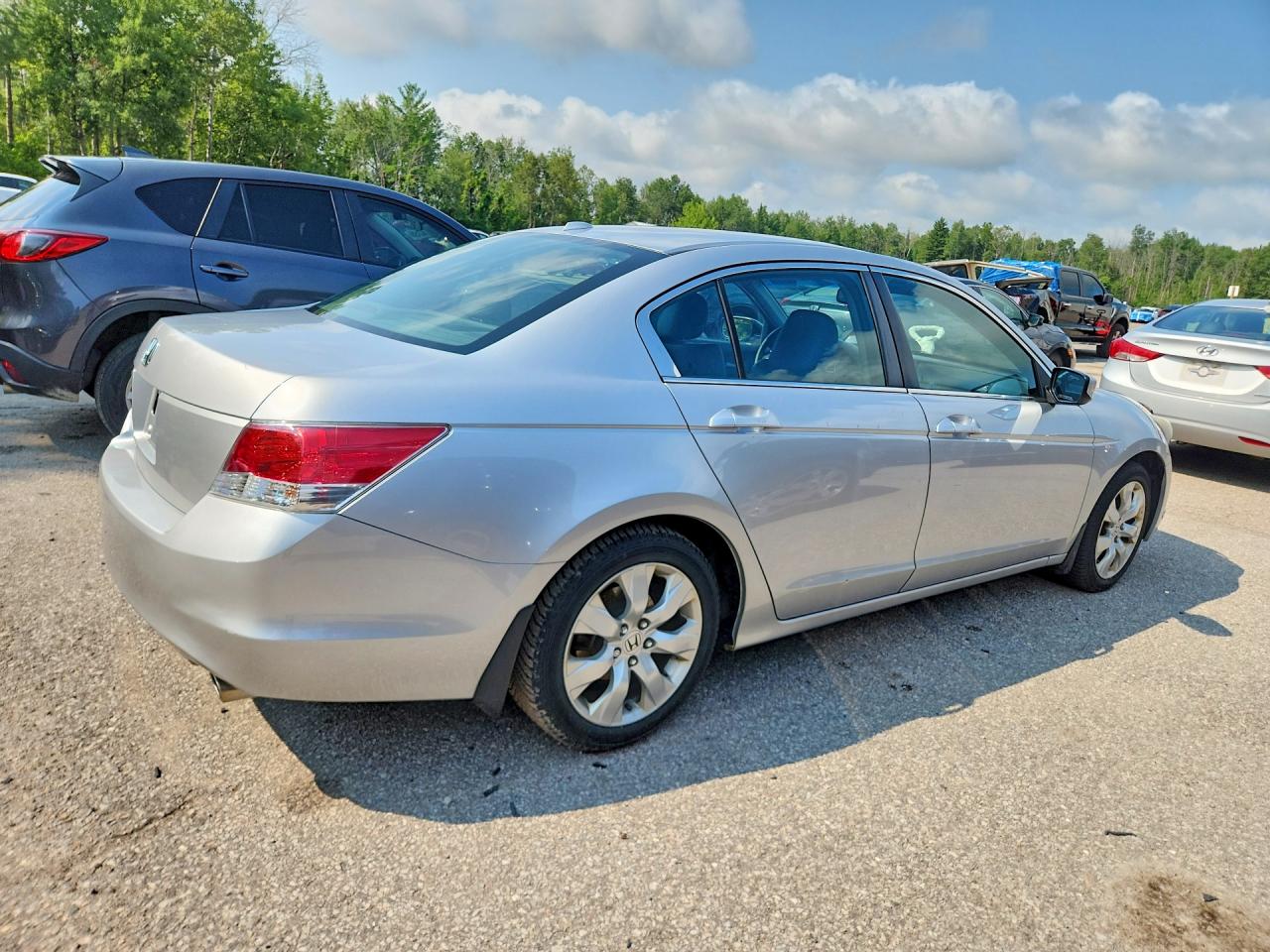 2010 Honda Accord Exl Silver vin: 1HGCP2F81AA802409