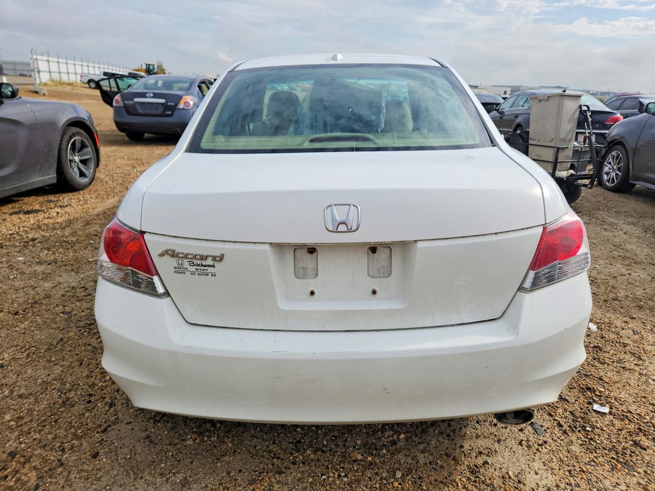 2010 Honda Accord Exl White vin: 1HGCP2F81AA805214