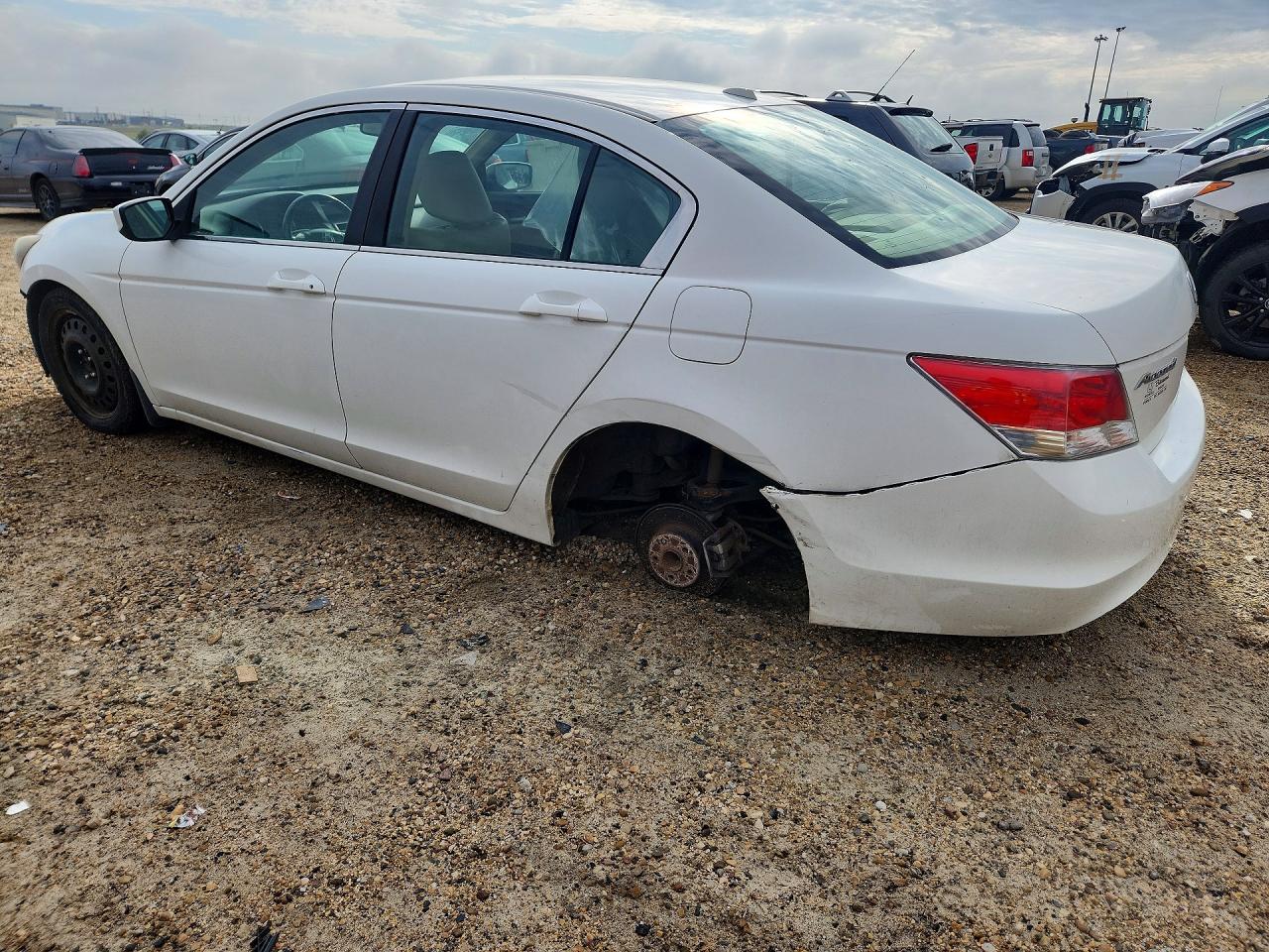 2010 Honda Accord Exl White vin: 1HGCP2F81AA805214