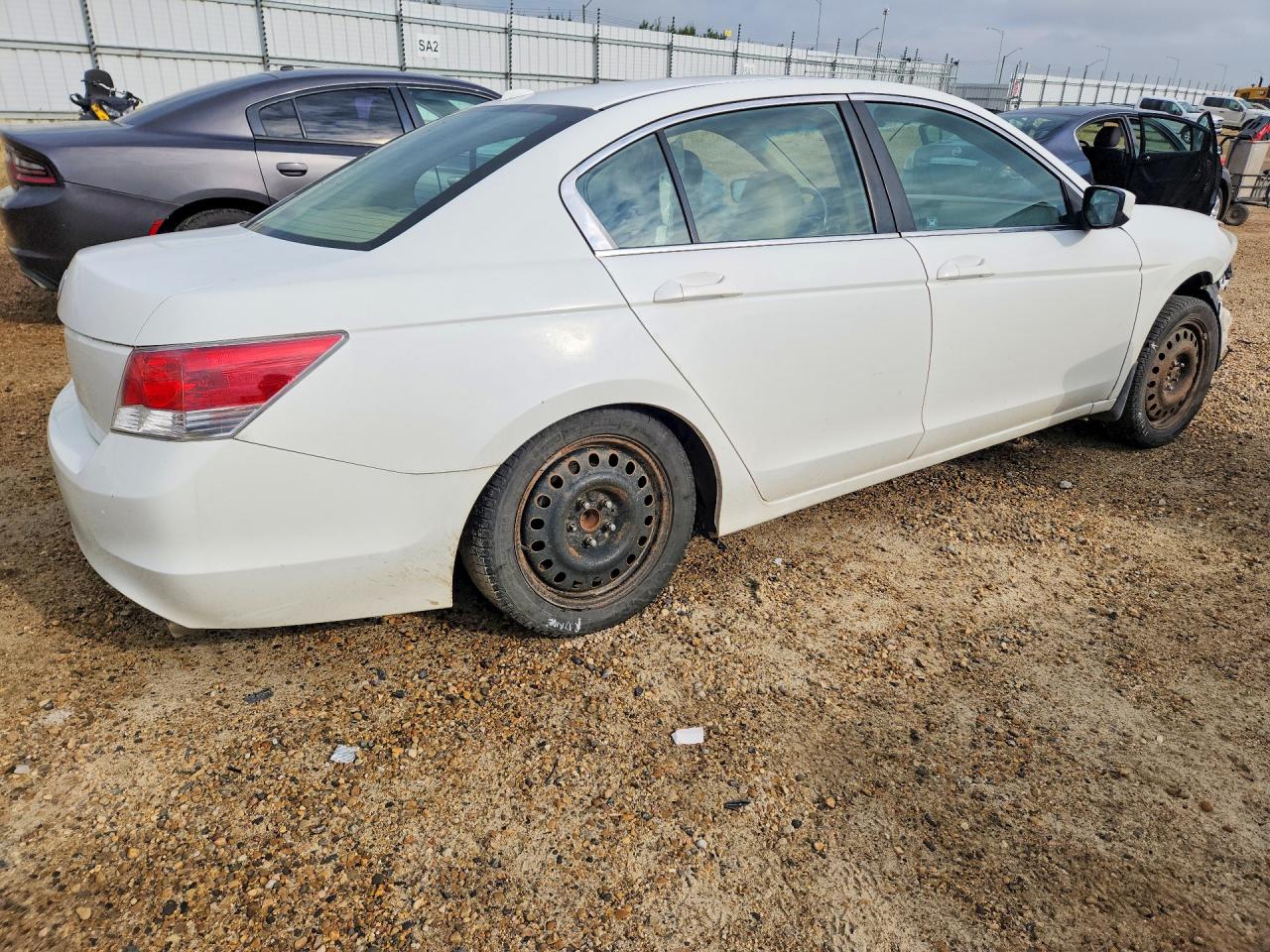 2010 Honda Accord Exl White vin: 1HGCP2F81AA805214
