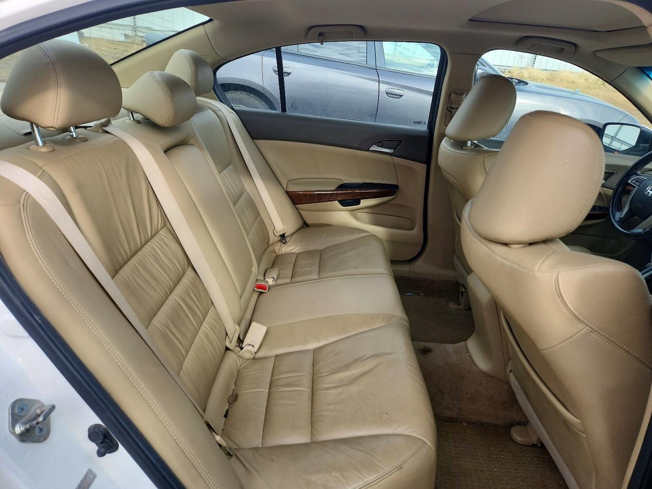 2010 Honda Accord Exl White vin: 1HGCP2F81AA805214