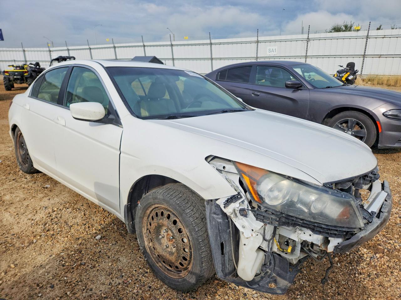 2010 Honda Accord Exl White vin: 1HGCP2F81AA805214