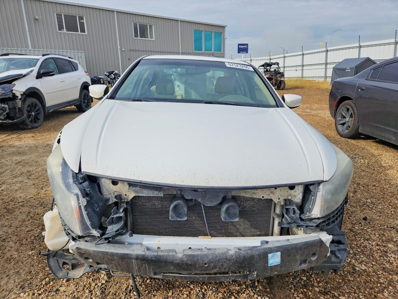 2010 Honda Accord Exl White vin: 1HGCP2F81AA805214