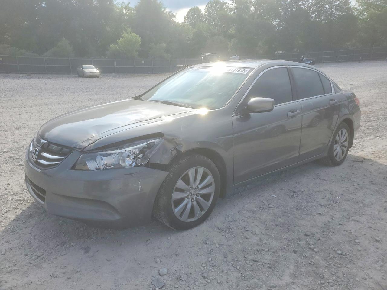 2011 Honda Accord Exl Gray vin: 1HGCP2F81BA049966