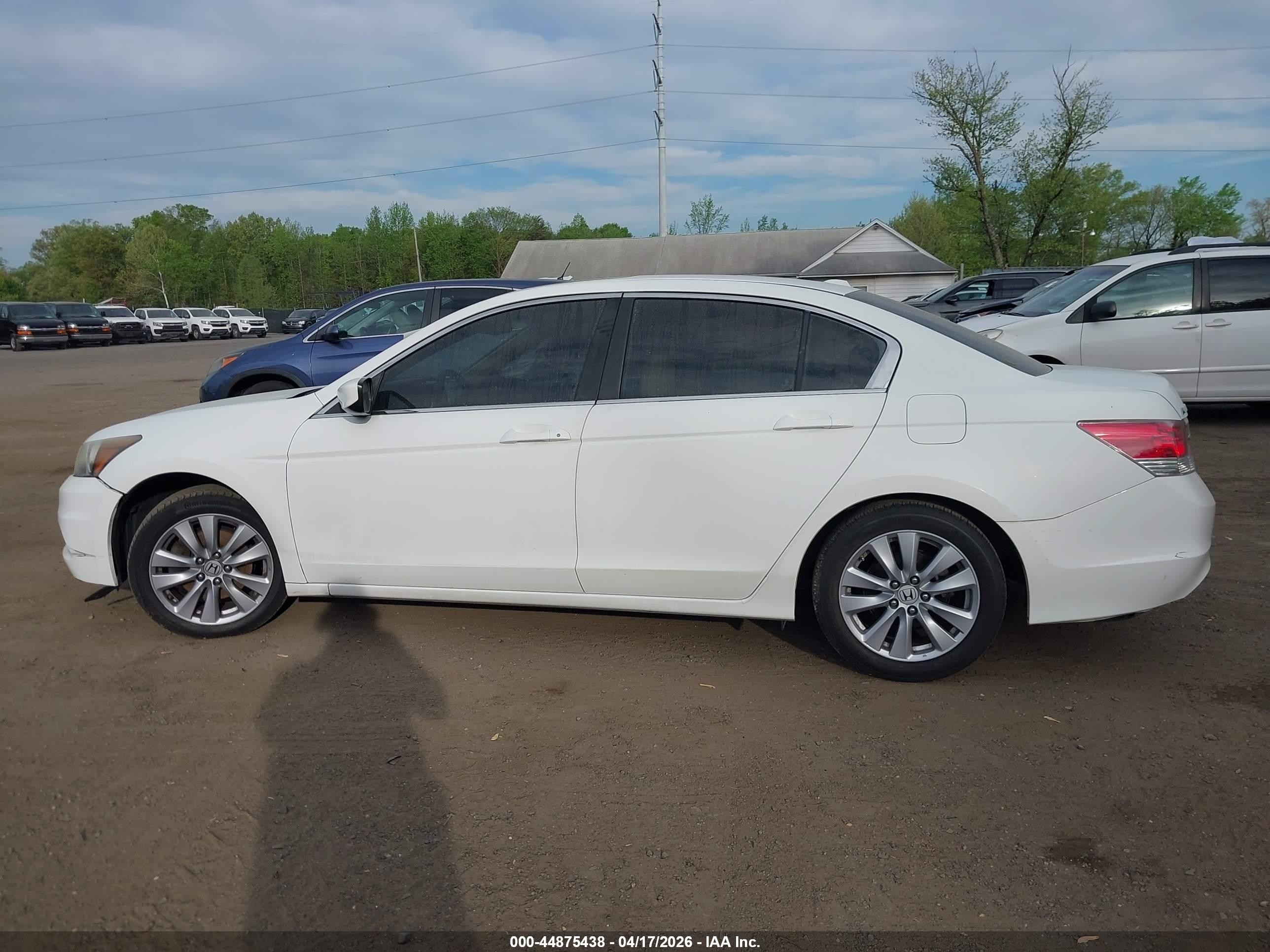 2011 Honda Accord 2.4 Ex-l White vin: 1HGCP2F81BA078819