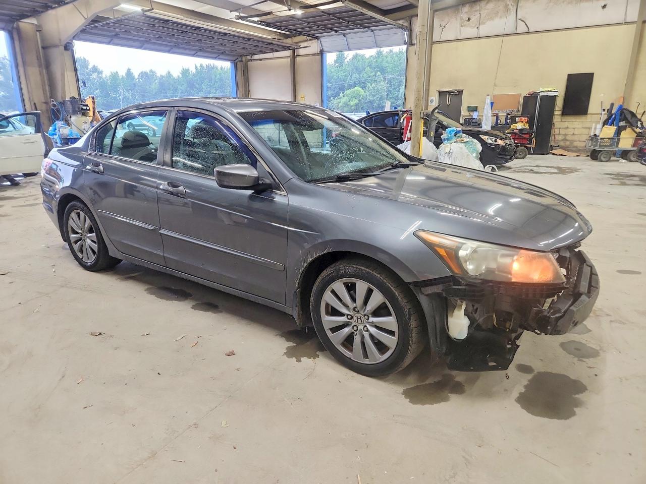 2011 Honda Accord Exl Gray vin: 1HGCP2F81BA079095