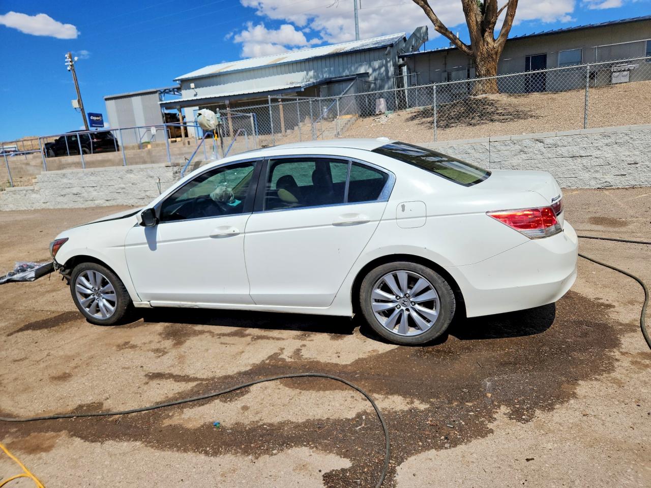 2011 Honda Accord Exl Белый vin: 1HGCP2F81BA089626