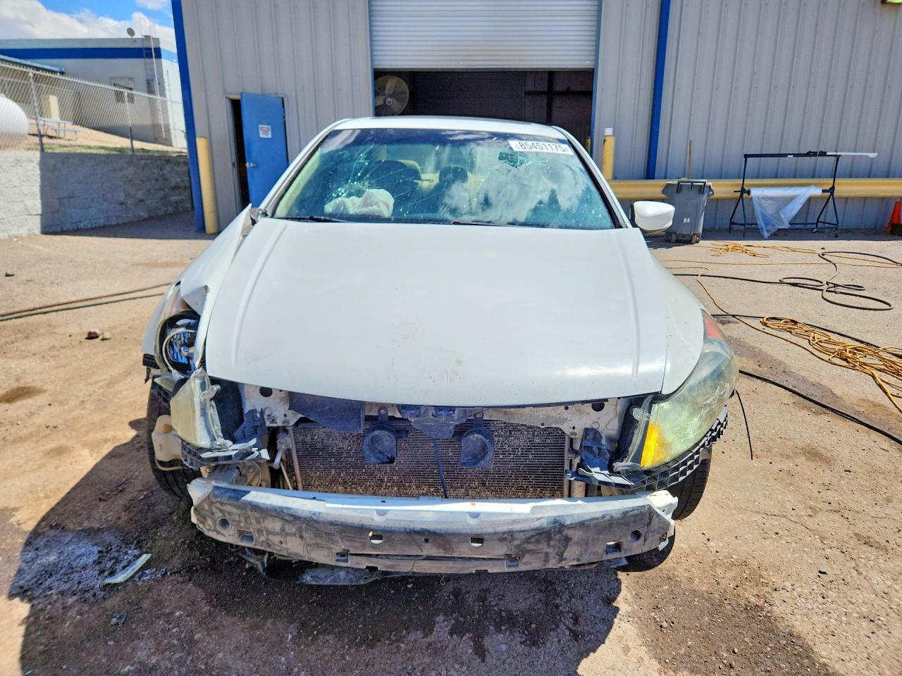 2011 Honda Accord Exl Белый vin: 1HGCP2F81BA089626