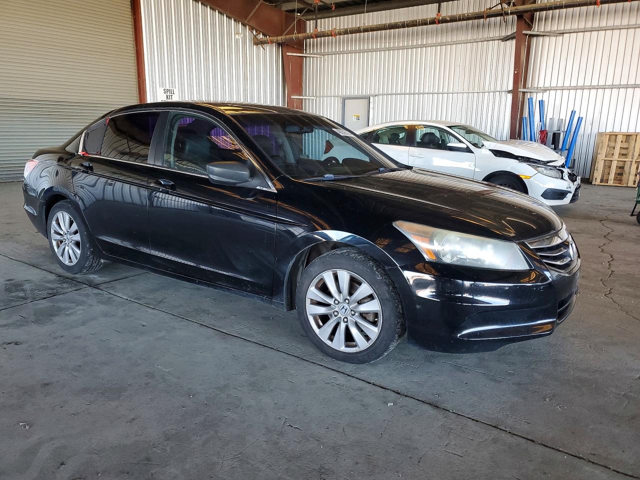 2011 Honda Accord Exl Black vin: 1HGCP2F81BA096205