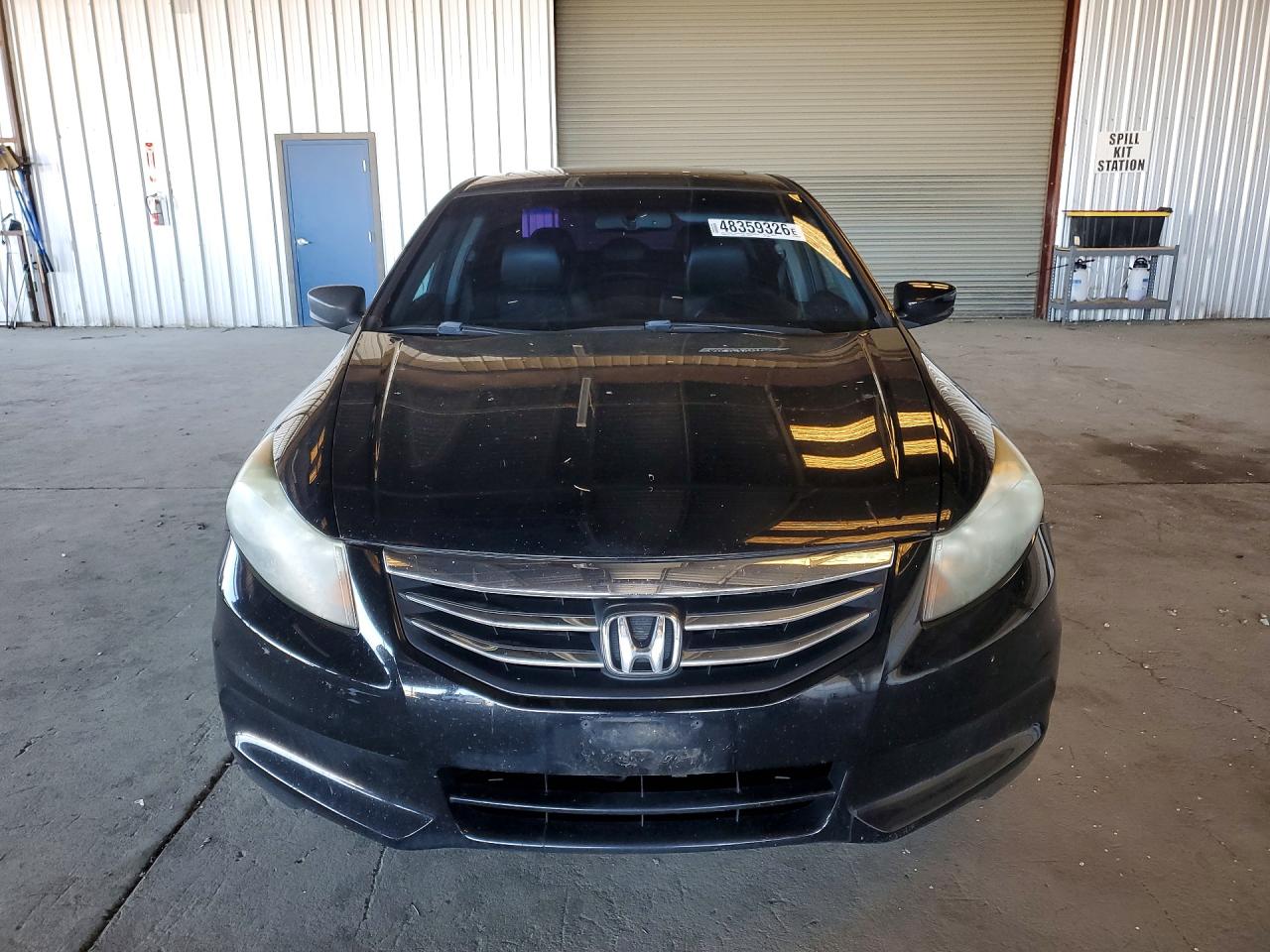 2011 Honda Accord Exl Black vin: 1HGCP2F81BA096205