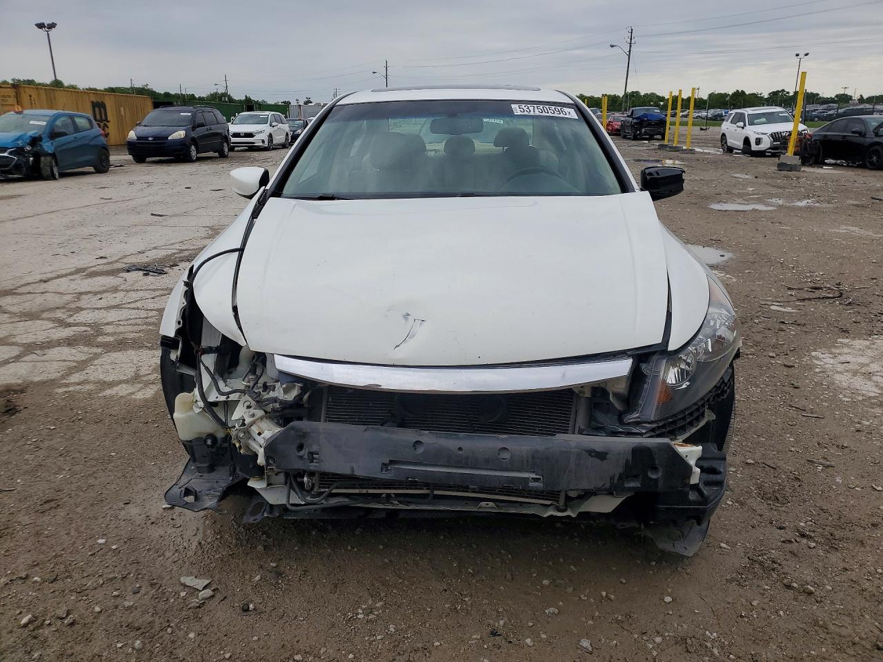 2011 Honda Accord Exl White vin: 1HGCP2F81BA133981