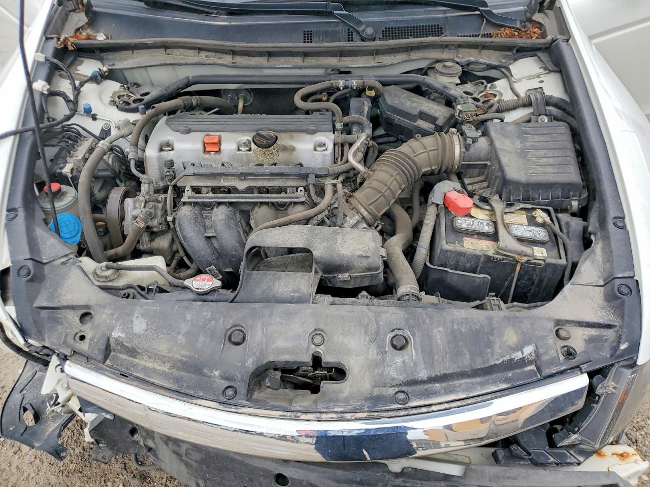 2011 Honda Accord Exl White vin: 1HGCP2F81BA133981