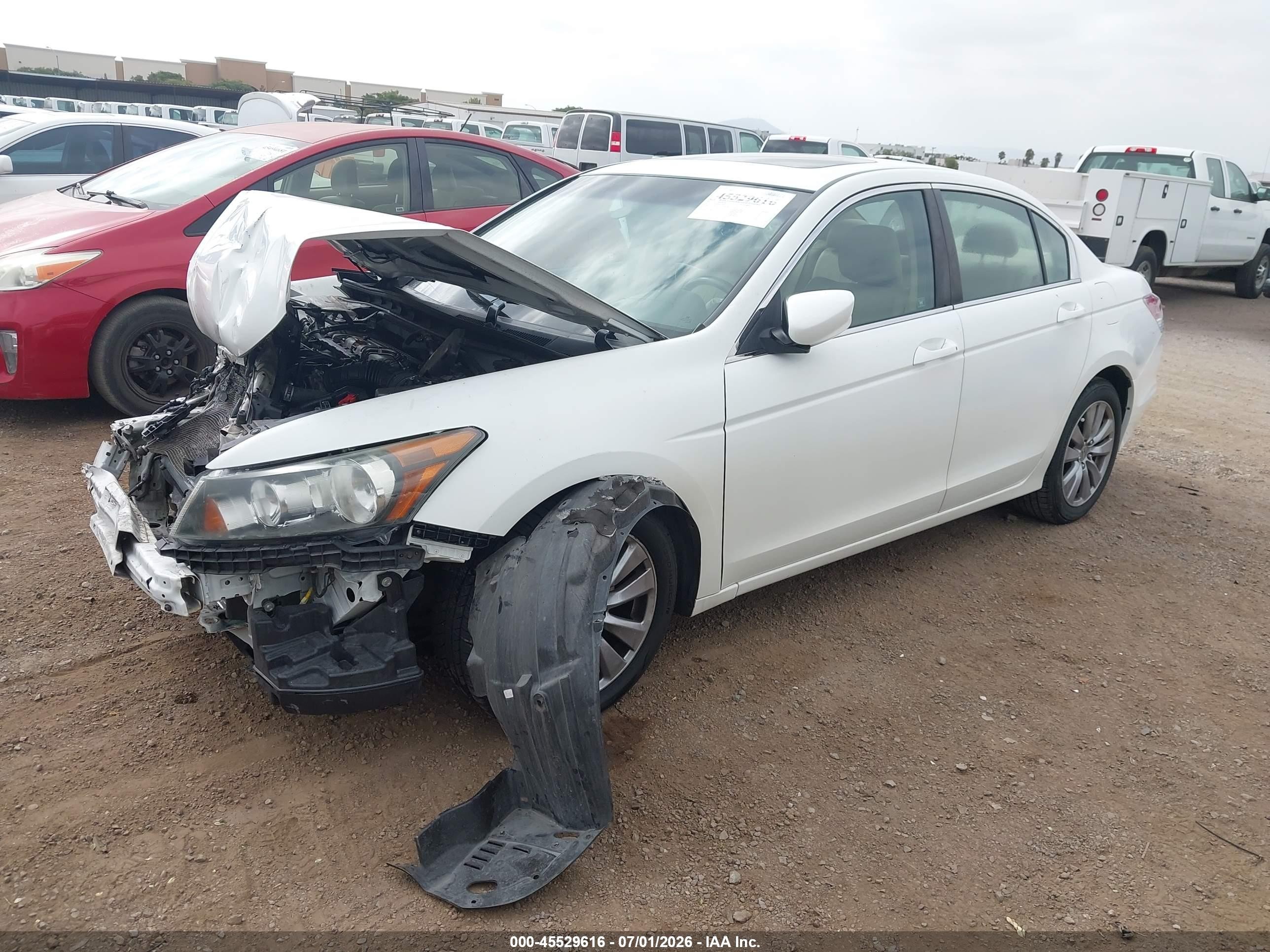2011 Honda Accord 2.4 Ex-l White vin: 1HGCP2F81BA152885