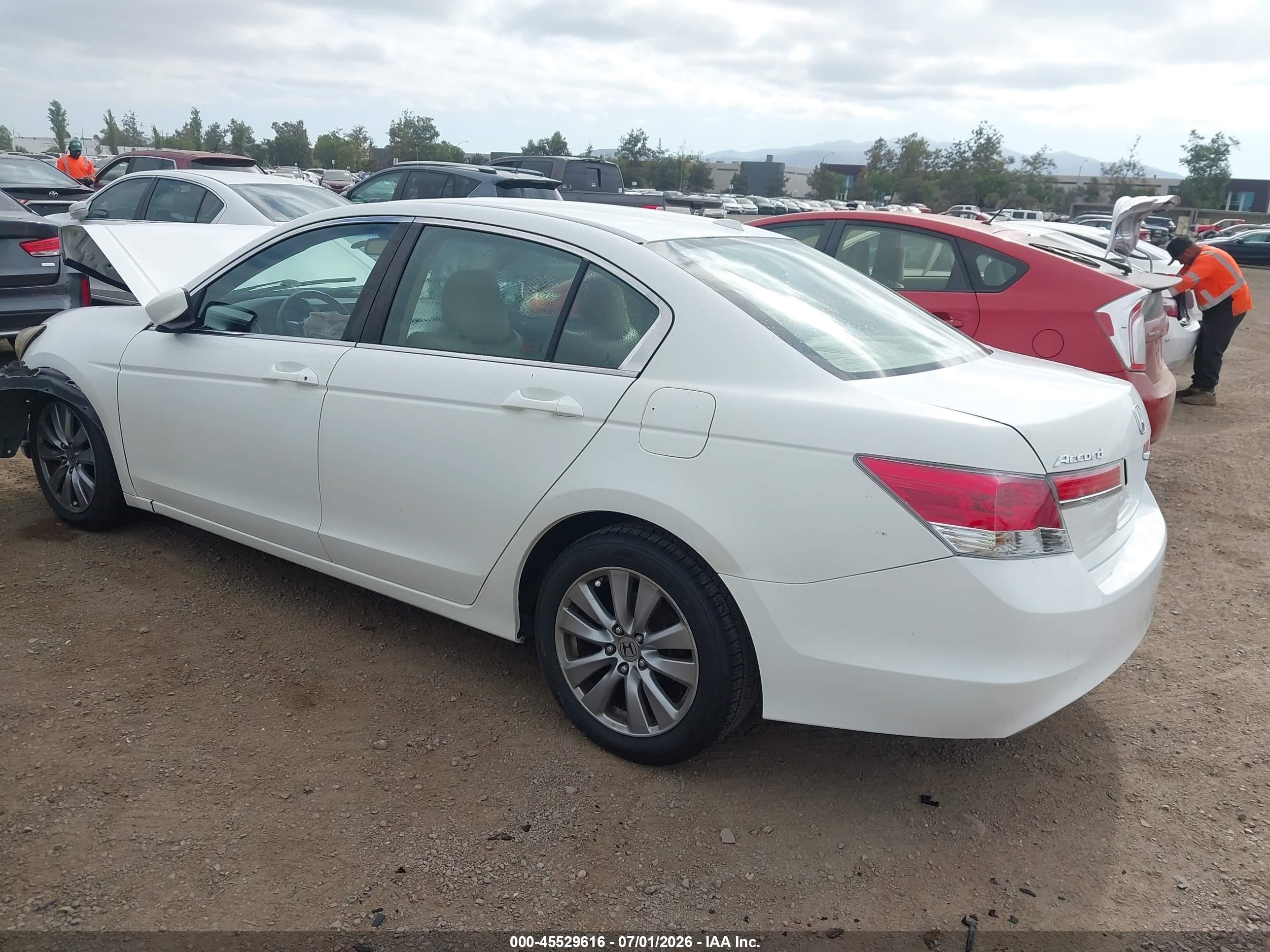 2011 Honda Accord 2.4 Ex-l White vin: 1HGCP2F81BA152885