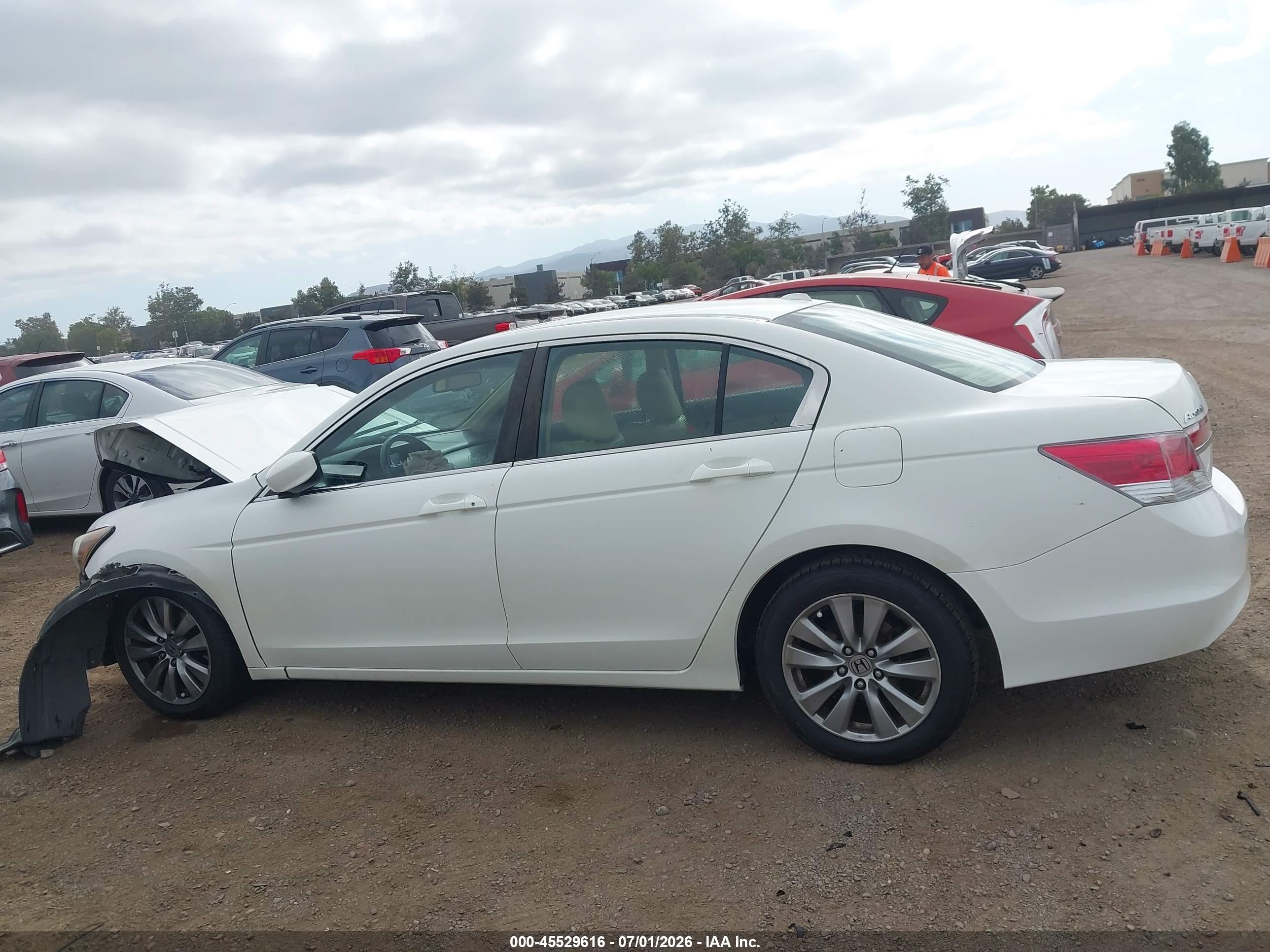 2011 Honda Accord 2.4 Ex-l White vin: 1HGCP2F81BA152885