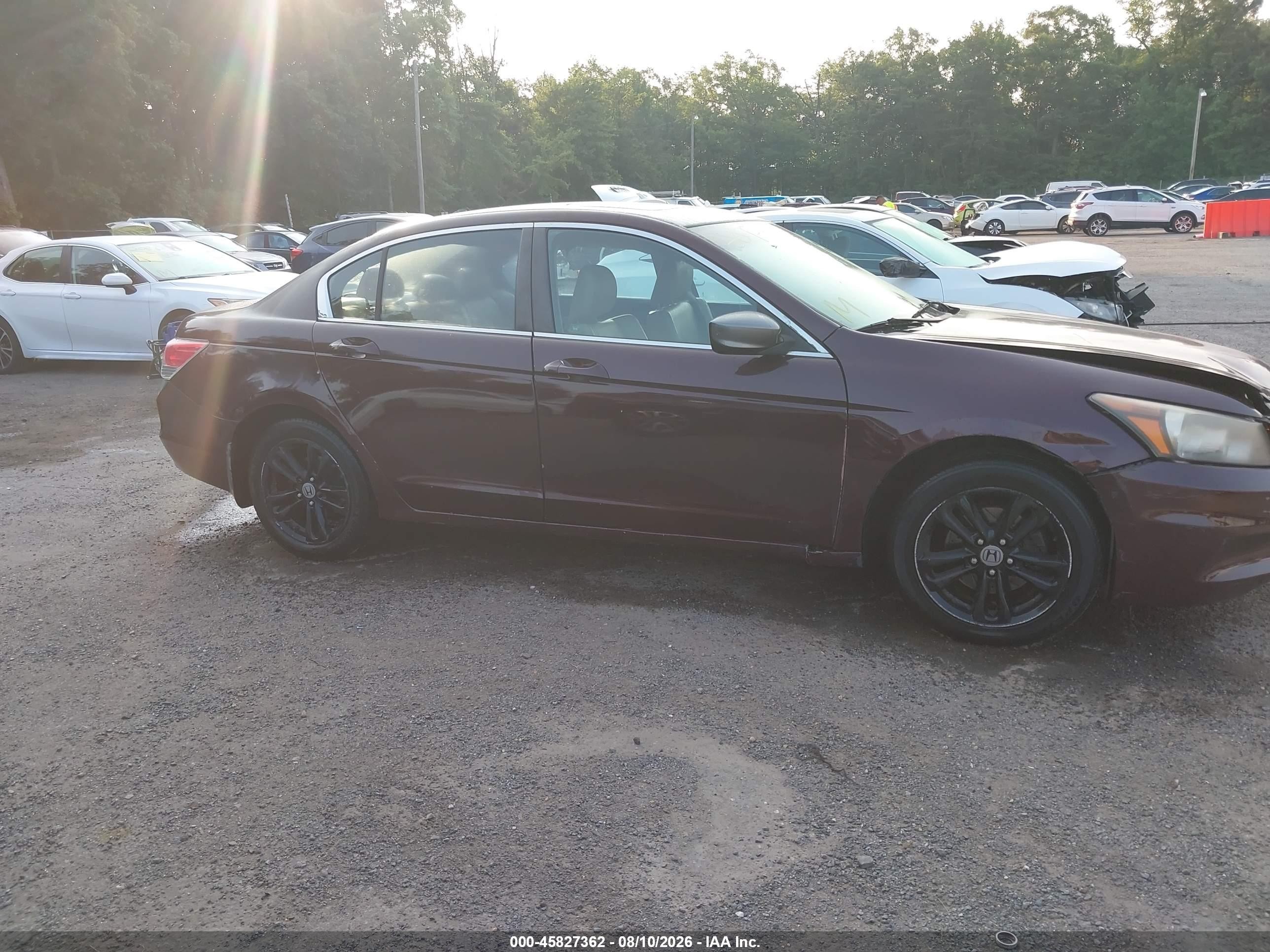 2012 Honda Accord 2.4 Ex-l Burgundy vin: 1HGCP2F81CA036555